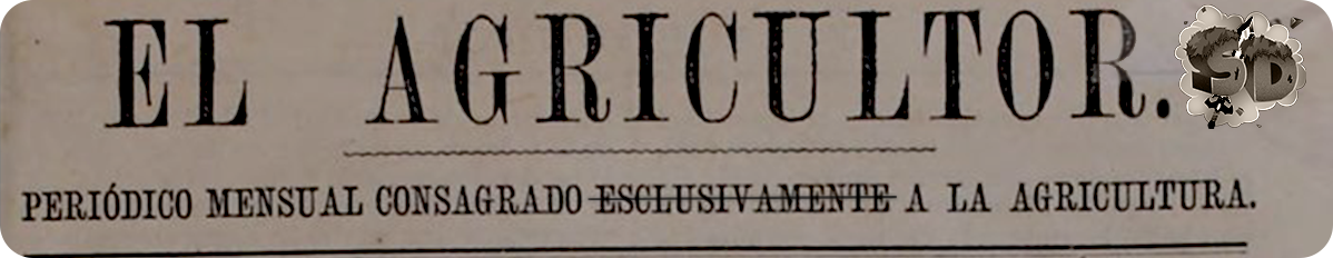 Periódico Semanal de Survival - T1